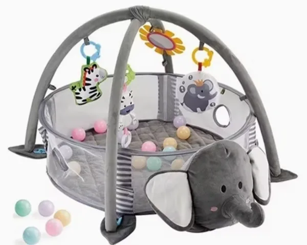Activity Gym & Ball Pit